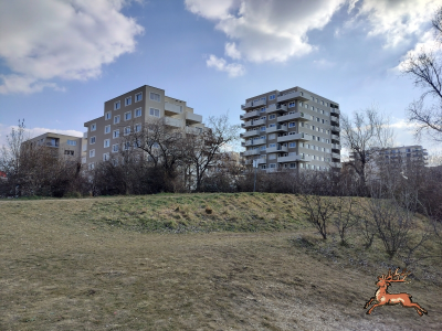 ../db_bilder/400/hi_berres--20250218_1402-0001.png