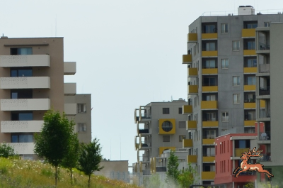 db_bilder/400/hi_berres--20250607_0917-2198a.png