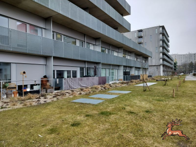 ../db_bilder/400/hi_berres--20260204_1117-0011.png
