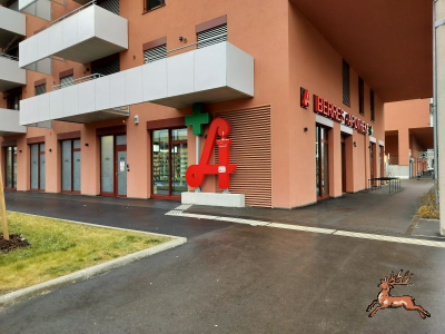 ../db_bilder/400/hi_berres--20260204_1122-0019.png