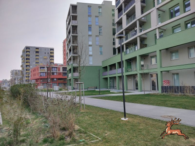../db_bilder/400/hi_berres--20260304_1112-0009.png