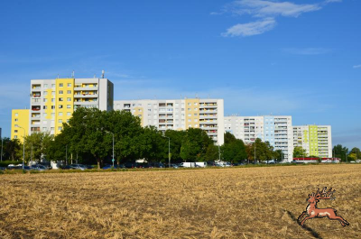 ../db_bilder/400/hi_berresgasse_feld--20170721-5272.png