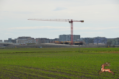 ../db_bilder/400/hi_bim27--20250323_1017-0029.png