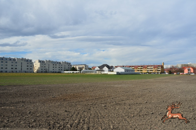 ../db_bilder/400/hi_bim27--20250323_1022-0049.png