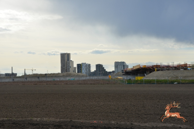 ../db_bilder/400/hi_bim27--20250323_1034-0152.png