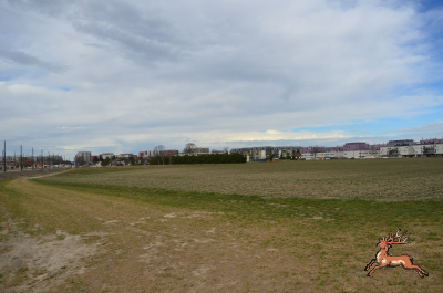 ../db_bilder/400/hi_bim27--20250323_1043-0199.png