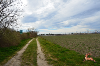 db_bilder/400/hi_bim27--20250323_1045-0210.png