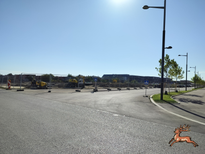 db_bilder/400/hi_busch_ried--20261007_1120-0006.png