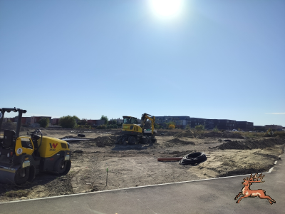 db_bilder/400/hi_busch_ried--20261007_1121-0009.png