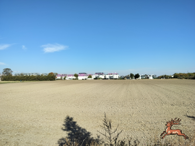 db_bilder/400/hi_busch_ried--20261007_1131-0038.png