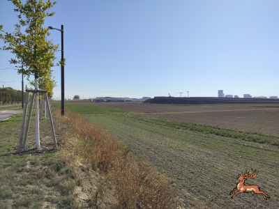 db_bilder/400/hi_busch_ried--20261007_1132-0046.png