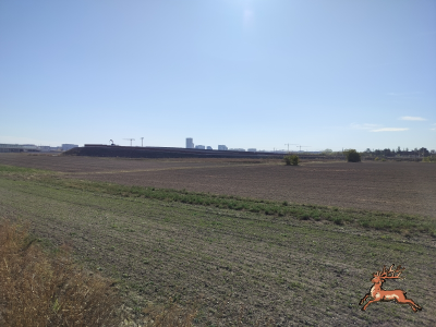 db_bilder/400/hi_busch_ried--20261007_1132-0047.png