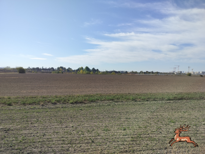 db_bilder/400/hi_busch_ried--20261007_1132-0050.png