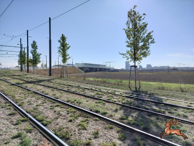 db_bilder/400/hi_busch_ried--20261007_1136-0069.png