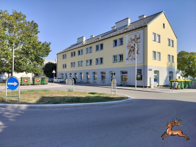 db_bilder/400/hi_cizekplatz--20260730_1723-0006.png