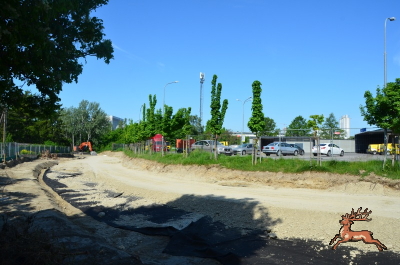 db_bilder/400/hi_franz_fellner_gasse--20250501_0926-1622.png