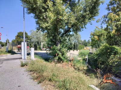 db_bilder/400/hi_franz_fellner_gasse--20250820_1102-0002.png
