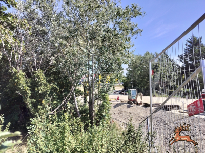 db_bilder/400/hi_franz_fellner_gasse--20250820_1103-0013.png