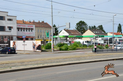 db_bilder/400/hi_genochmarkt--20180712-5907.png