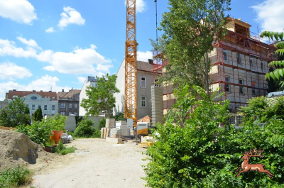 ../db_bilder/400/hi_genochplatz--20210613-402749.png