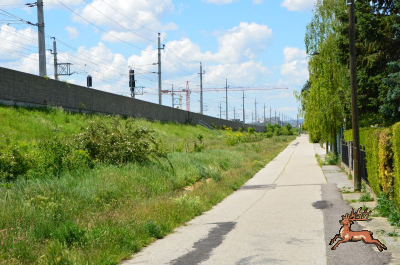 ../db_bilder/400/hi_guido_lammer_gasse--20240514_1132-3687.png