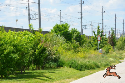 ../db_bilder/400/hi_guido_lammer_gasse--20240514_1134-3693.png
