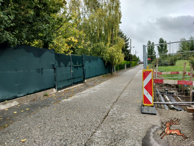 ../db_bilder/400/hi_guido_lammer_gasse--20250926_1304-0007.png