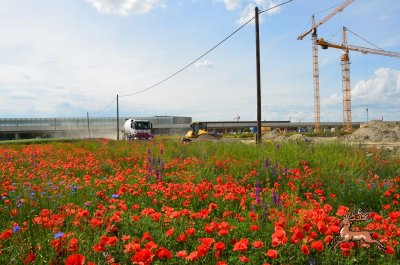 db_bilder/400/hi_hausfeld--20240523_145906.png