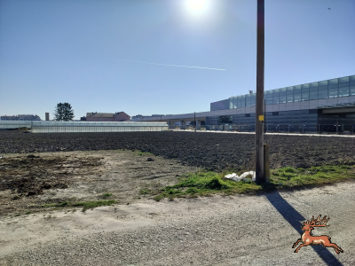 db_bilder/400/hi_hausfeld--20250306_1441-0030.png