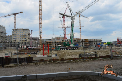 db_bilder/400/hi_hausfeld--20260417_1615-0024.png
