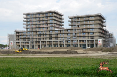 db_bilder/400/hi_hausfeld--20260417_1616-0031.png