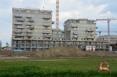 db_bilder/400/hi_hausfeld--20260417_1617-0032.png