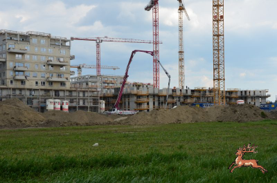 db_bilder/400/hi_hausfeld--20260417_1617-0033.png