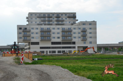 db_bilder/400/hi_hausfeld--20260417_1623-0054.png