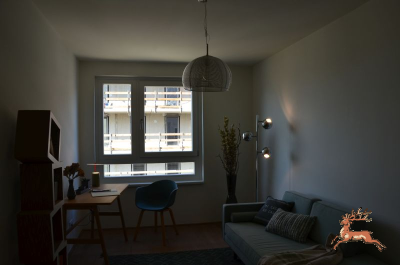 db_bilder/400/hi_hausfeld--20260417_1655-0065.png
