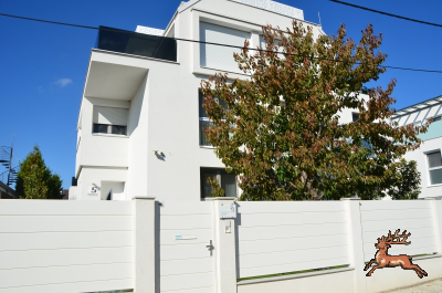 ../db_bilder/400/hi_kalmusweg--20241016_1115-7383.png