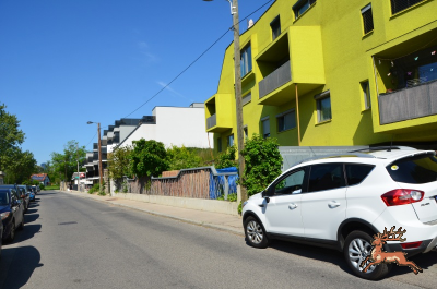 ../db_bilder/400/hi_krautgarten--20250501_0917-1591.png