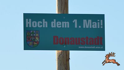 ../db_bilder/400/hi_maibaum--20120430-006a.png