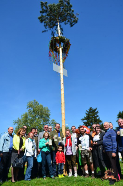 ../db_bilder/400/hi_maibaum--20140427-089.png