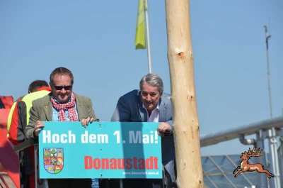 ../db_bilder/400/hi_maibaum--20160430-108.png