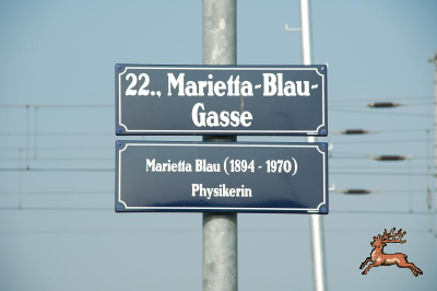 ../db_bilder/400/hi_marietta-blau-gasse-t01-20060929.png