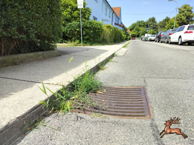 ../db_bilder/400/hi_markweg--20250705_1111-0001.png