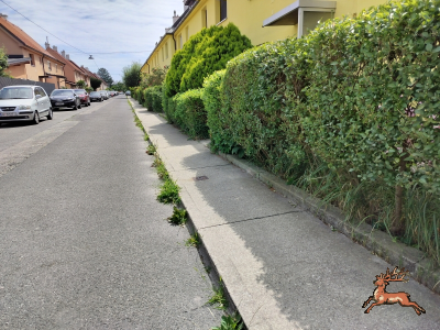 ../db_bilder/400/hi_markweg--20250705_1111-0003.png