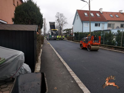 ../db_bilder/400/hi_murraygasse_asphalt--20181214_133721.png