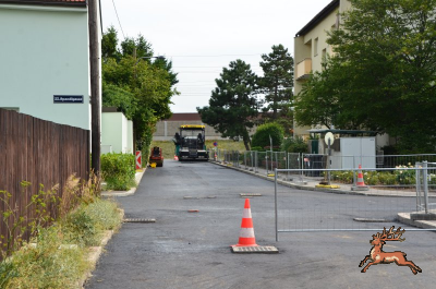 db_bilder/400/hi_murraygasse_asphalt--20190807-403750.png