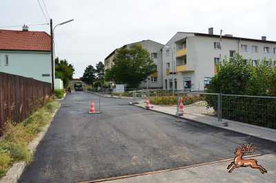 db_bilder/400/hi_murraygasse_asphalt--20190807-403751.png