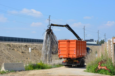 db_bilder/400/hi_ostbahn--20180526-3634.png