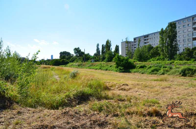 ../db_bilder/400/hi_ostbahn_feld--20160703-0289.png