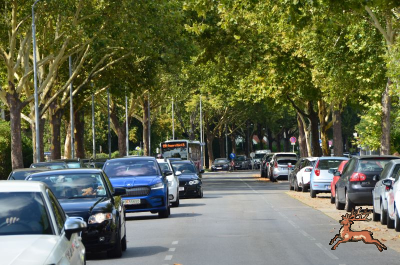 ../db_bilder/400/hi_quadenstrasse--20240810_1012-5890.png