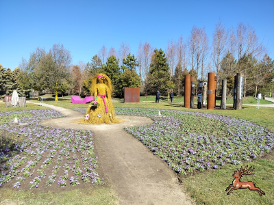 db_bilder/400/hi_res--20250319_1050-0006.png